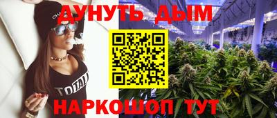 гашик Новокубанск