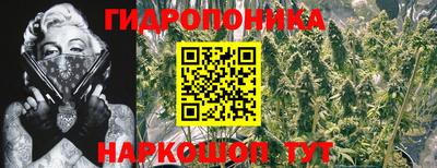 apvp Новодвинск