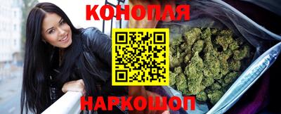 гашик Новокубанск